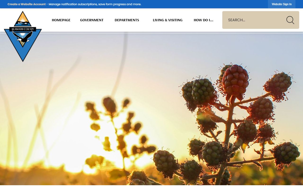 Klamath County homepage for arrest records information